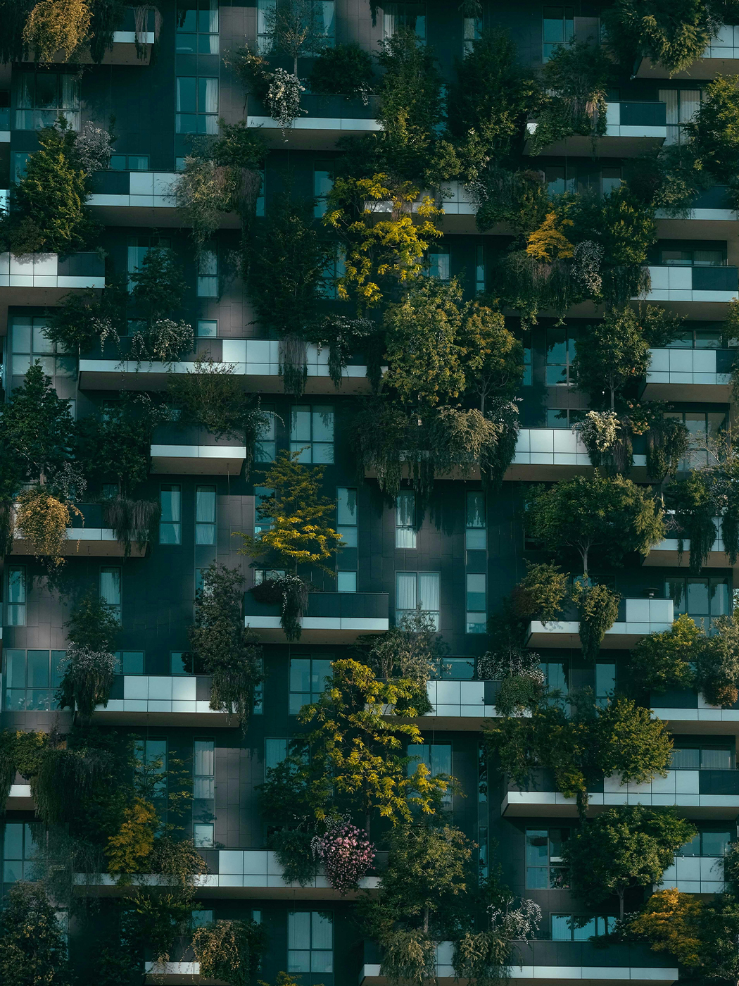 Sustainability / Green Building Management